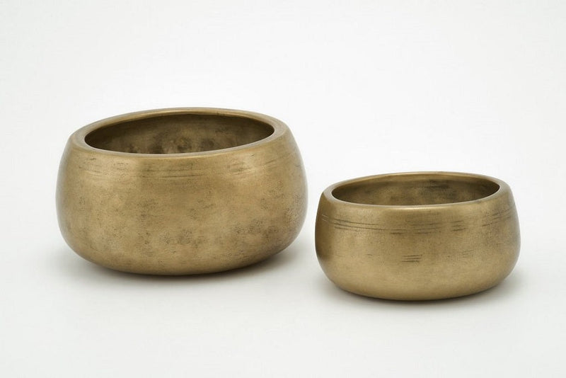 1_1024x1024_a24df8d1-3faa-4ee2