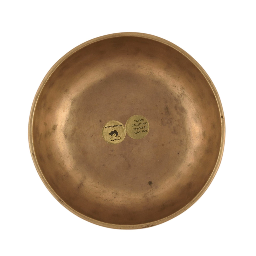 Copy of Antique singing bowl Thadobati TD398