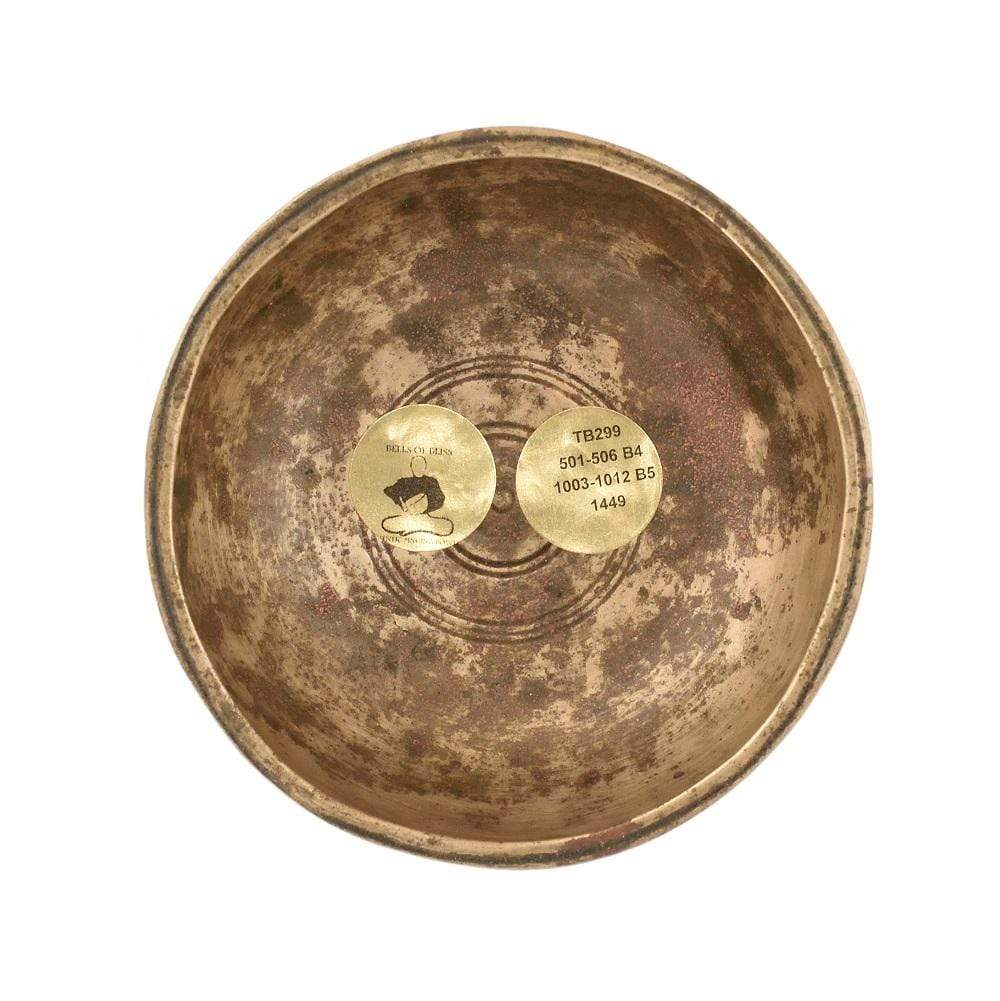 Antique singing bowl Thadobati TcB299