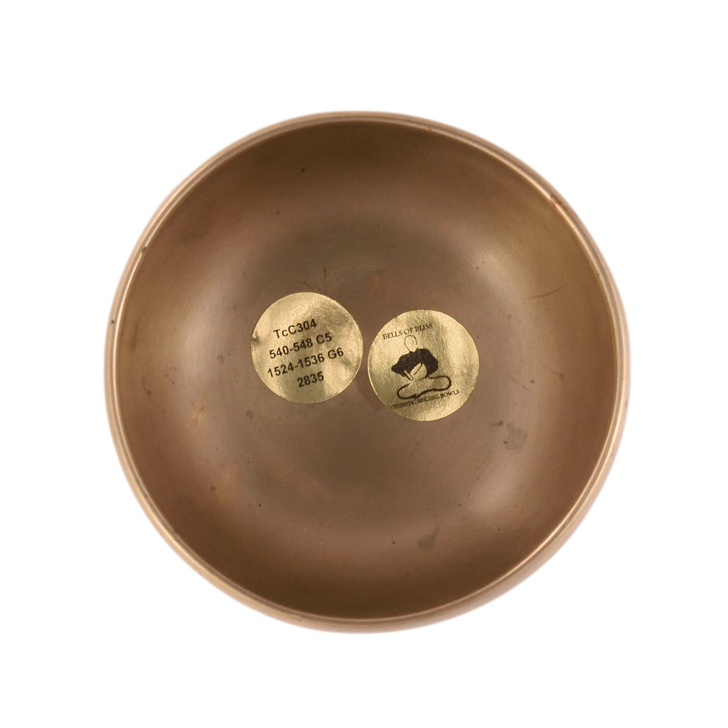 Antique singing bowl Thadobati TcC304