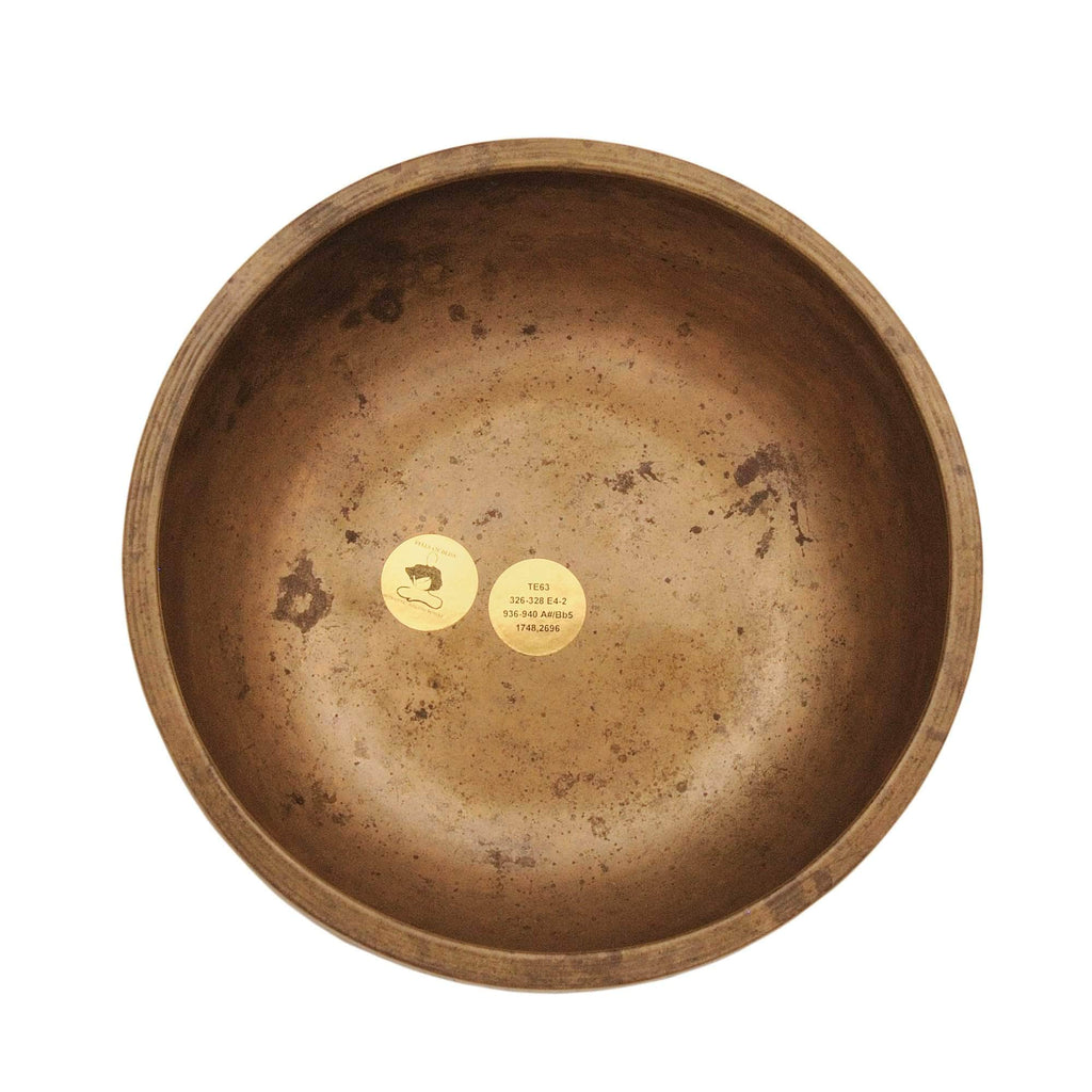 Antique Singing bowl Thadobati TE63