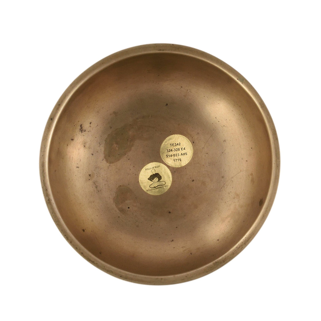 Rare Antique singing bowl Thadobati TE342