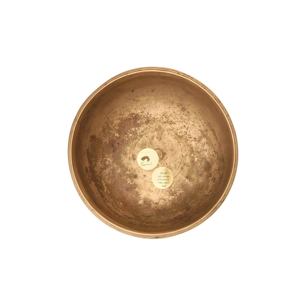 Snging bowl Thadobati TB147